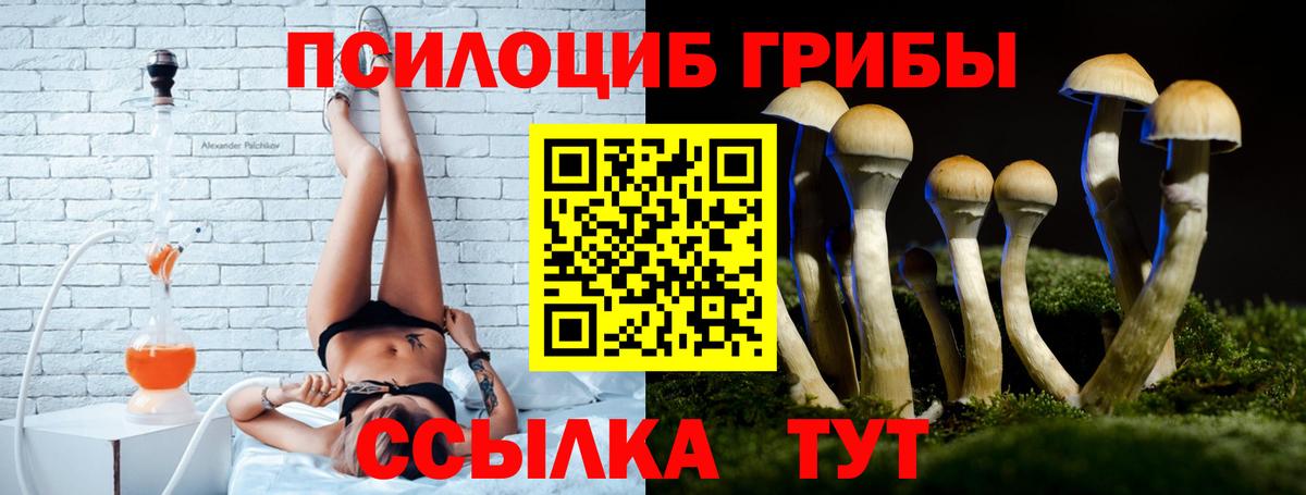 Псилоцибиновые грибы мицелий Оренбург